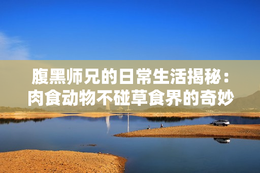 腹黑师兄的日常生活揭秘：肉食动物不碰草食界的奇妙互动