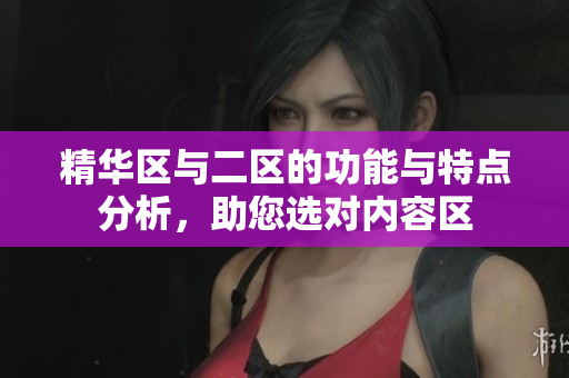 精华区与二区的功能与特点分析，助您选对内容区