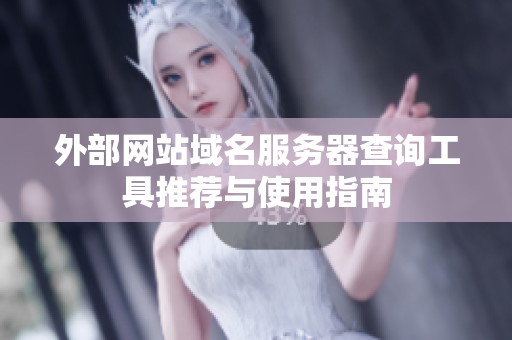 外部网站域名服务器查询工具推荐与使用指南