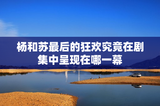 杨和苏最后的狂欢究竟在剧集中呈现在哪一幕