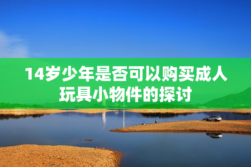 14岁少年是否可以购买成人玩具小物件的探讨