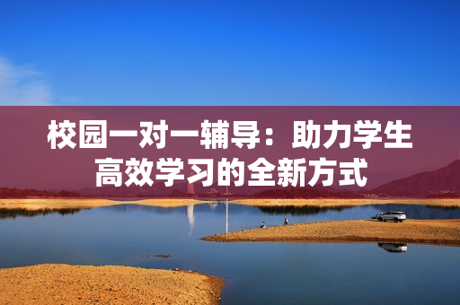 校园一对一辅导：助力学生高效学习的全新方式