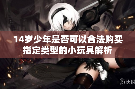 14岁少年是否可以合法购买指定类型的小玩具解析