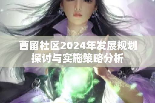 曹留社区2024年发展规划探讨与实施策略分析