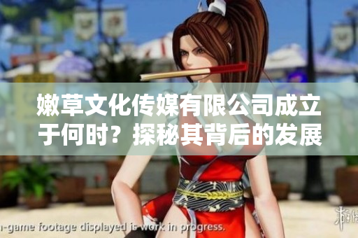 嫩草文化传媒有限公司成立于何时？探秘其背后的发展历程