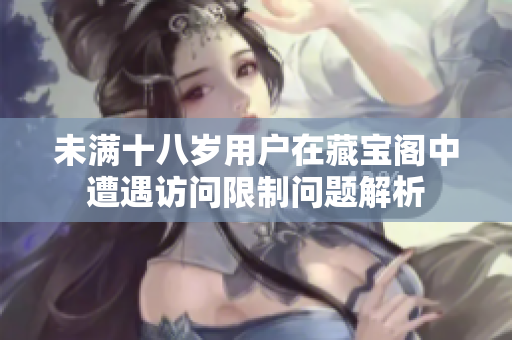 未满十八岁用户在藏宝阁中遭遇访问限制问题解析