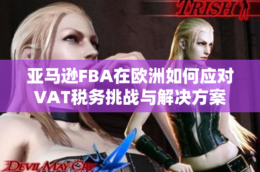 亚马逊FBA在欧洲如何应对VAT税务挑战与解决方案