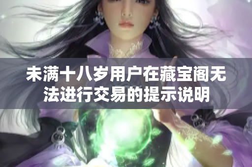 未满十八岁用户在藏宝阁无法进行交易的提示说明