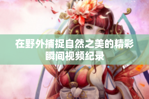 在野外捕捉自然之美的精彩瞬间视频纪录