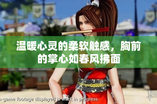 温暖心灵的柔软触感，胸前的掌心如春风拂面