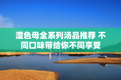 澧色母全系列汤品推荐 不同口味带给你不同享受
