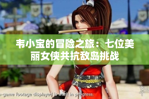 韦小宝的冒险之旅：七位美丽女侠共抗敌岛挑战