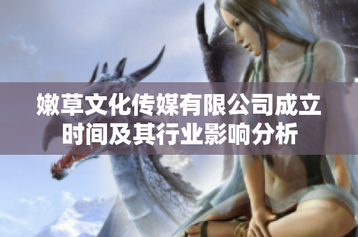 嫩草文化传媒有限公司成立时间及其行业影响分析
