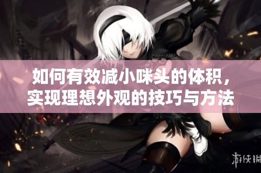 如何有效减小咪头的体积，实现理想外观的技巧与方法