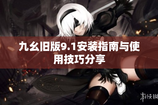 九幺旧版9.1安装指南与使用技巧分享