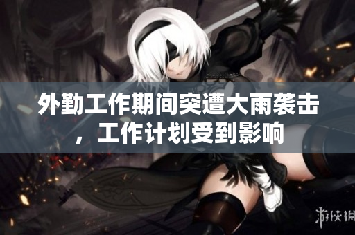 外勤工作期间突遭大雨袭击，工作计划受到影响