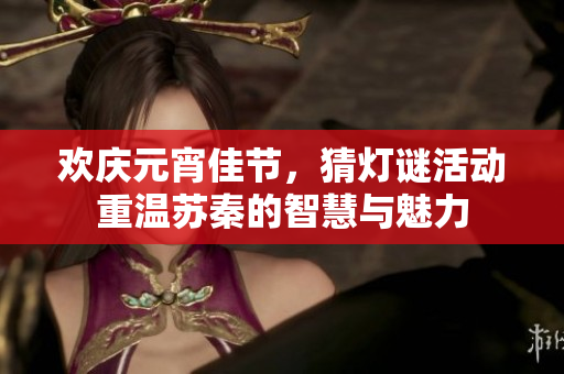 欢庆元宵佳节，猜灯谜活动重温苏秦的智慧与魅力