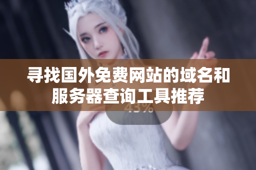 寻找国外免费网站的域名和服务器查询工具推荐