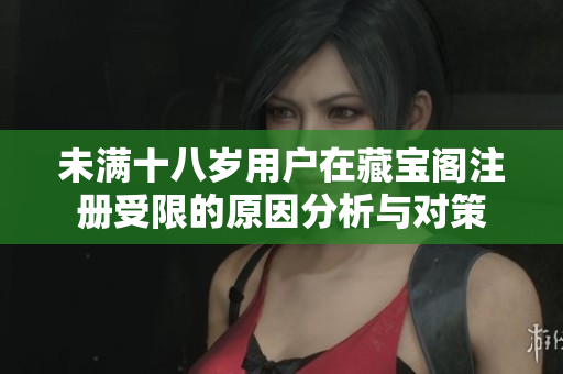 未满十八岁用户在藏宝阁注册受限的原因分析与对策