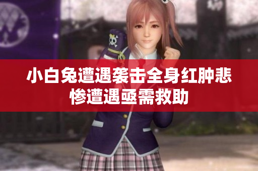 小白兔遭遇袭击全身红肿悲惨遭遇亟需救助