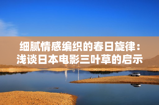 细腻情感编织的春日旋律：浅谈日本电影三叶草的启示