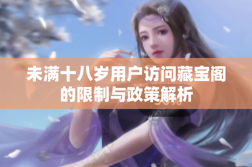 未满十八岁用户访问藏宝阁的限制与政策解析