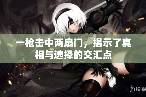 一枪击中两扇门，揭示了真相与选择的交汇点