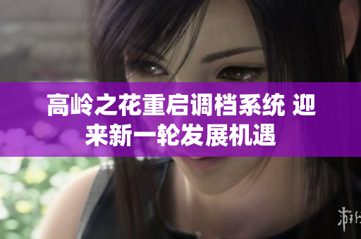 高岭之花重启调档系统 迎来新一轮发展机遇