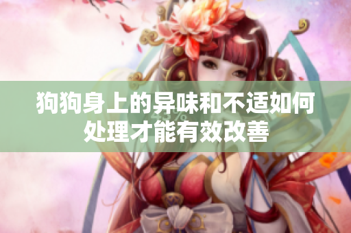 狗狗身上的异味和不适如何处理才能有效改善