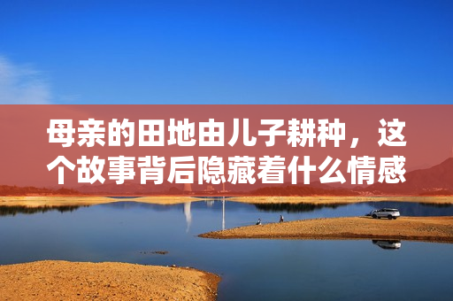 母亲的田地由儿子耕种，这个故事背后隐藏着什么情感与承诺