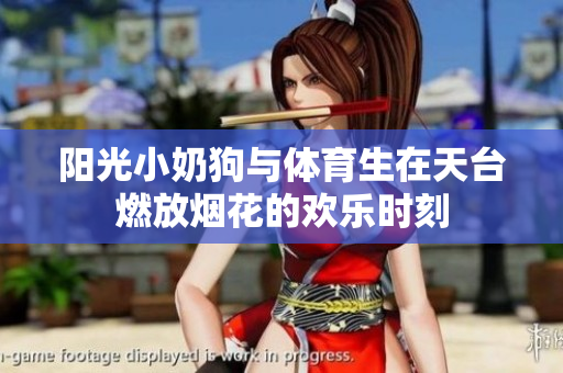 阳光小奶狗与体育生在天台燃放烟花的欢乐时刻