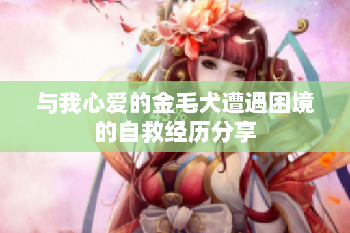与我心爱的金毛犬遭遇困境的自救经历分享