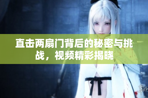 直击两扇门背后的秘密与挑战，视频精彩揭晓