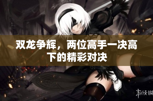 双龙争辉，两位高手一决高下的精彩对决