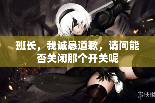 班长，我诚恳道歉，请问能否关闭那个开关呢