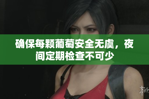 确保每颗葡萄安全无虞，夜间定期检查不可少