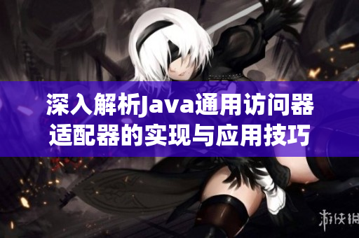 深入解析Java通用访问器适配器的实现与应用技巧