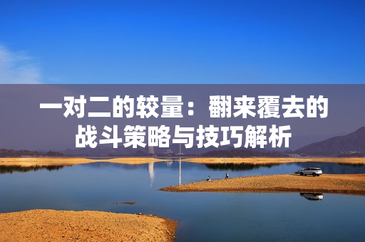 一对二的较量：翻来覆去的战斗策略与技巧解析