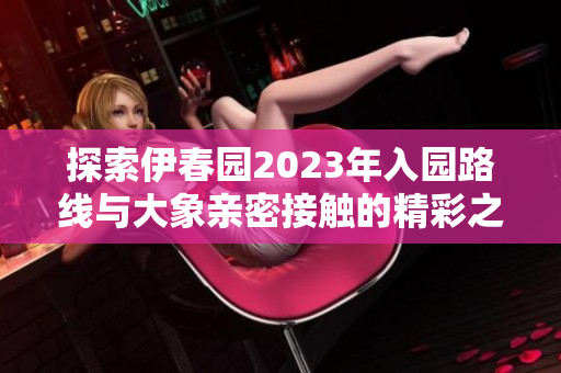 探索伊春园2023年入园路线与大象亲密接触的精彩之旅