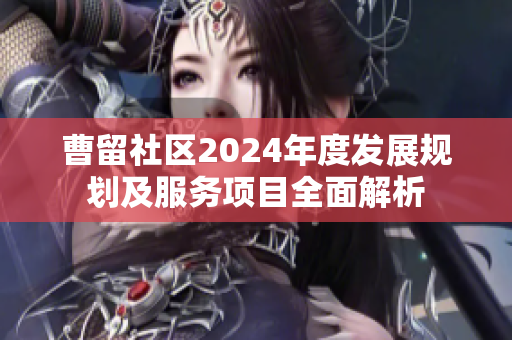 曹留社区2024年度发展规划及服务项目全面解析