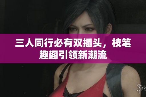 三人同行必有双插头，枝笔趣阁引领新潮流
