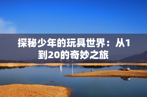 探秘少年的玩具世界：从1到20的奇妙之旅