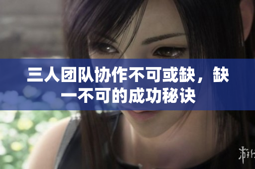 三人团队协作不可或缺，缺一不可的成功秘诀