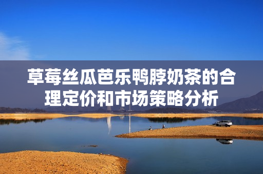 草莓丝瓜芭乐鸭脖奶茶的合理定价和市场策略分析