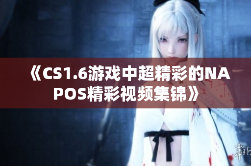 《CS1.6游戏中超精彩的NAPOS精彩视频集锦》