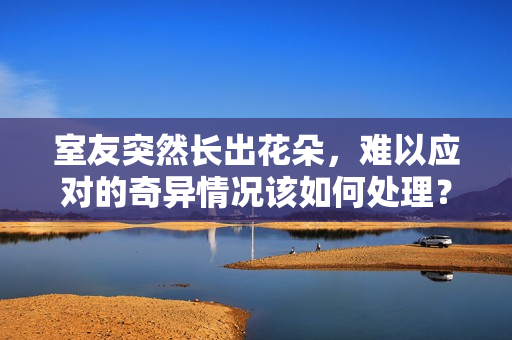 室友突然长出花朵，难以应对的奇异情况该如何处理？