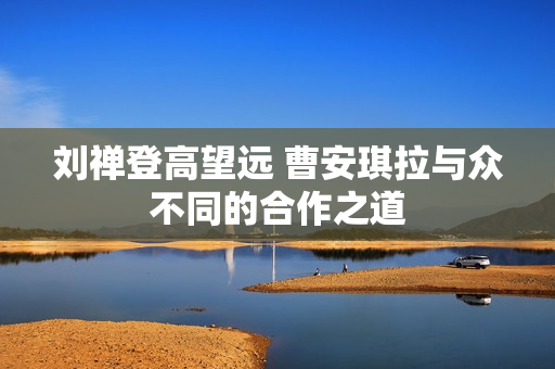 刘禅登高望远 曹安琪拉与众不同的合作之道