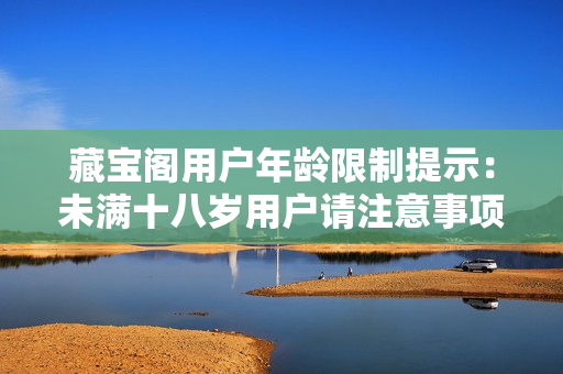 藏宝阁用户年龄限制提示：未满十八岁用户请注意事项