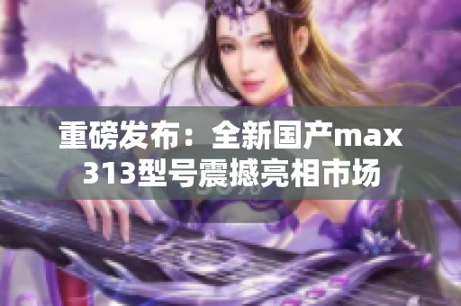 重磅发布：全新国产max313型号震撼亮相市场