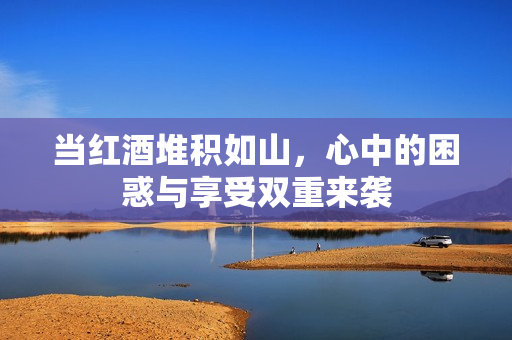 当红酒堆积如山，心中的困惑与享受双重来袭